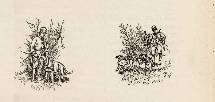 Illustration tirée du Manuel de Vènerie française - Emmanuel Le Couteulx de Canteleu (1890) - Hachette et Cie (Paris) - BnF (Gallica) (19)